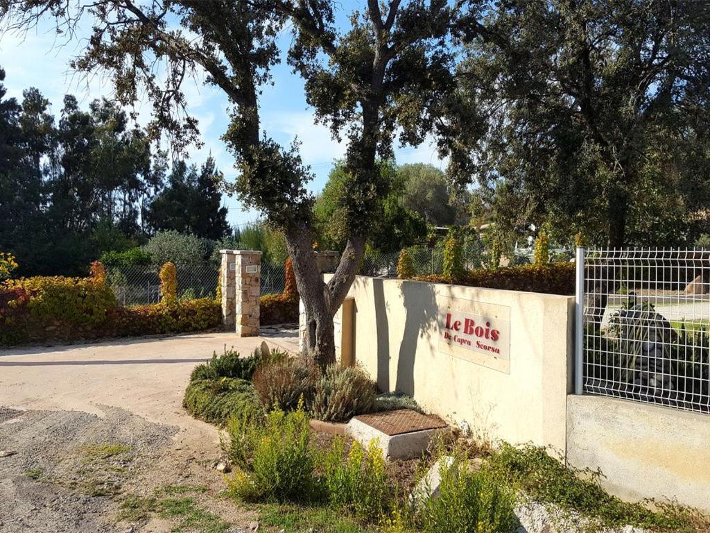 Le Bois De Capra Scorsa Villa Belgodere  Luaran gambar
