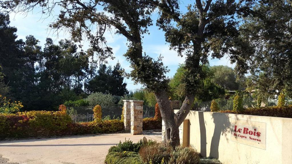 Le Bois De Capra Scorsa Villa Belgodere  Luaran gambar